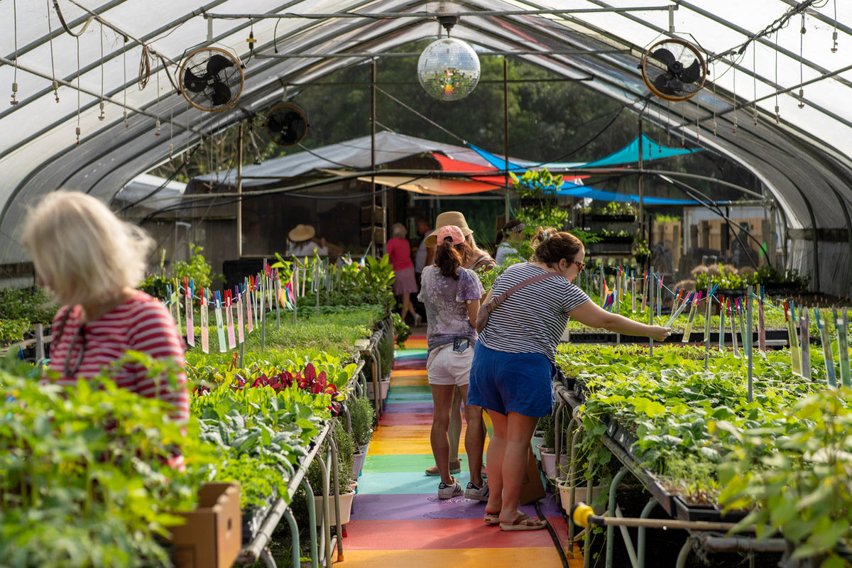 Little River Nursery