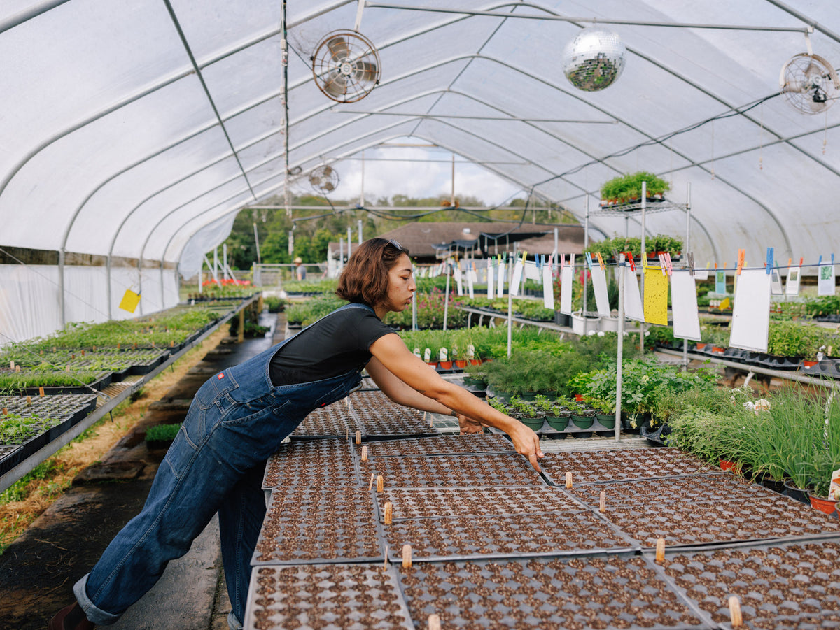 Little River Nursery