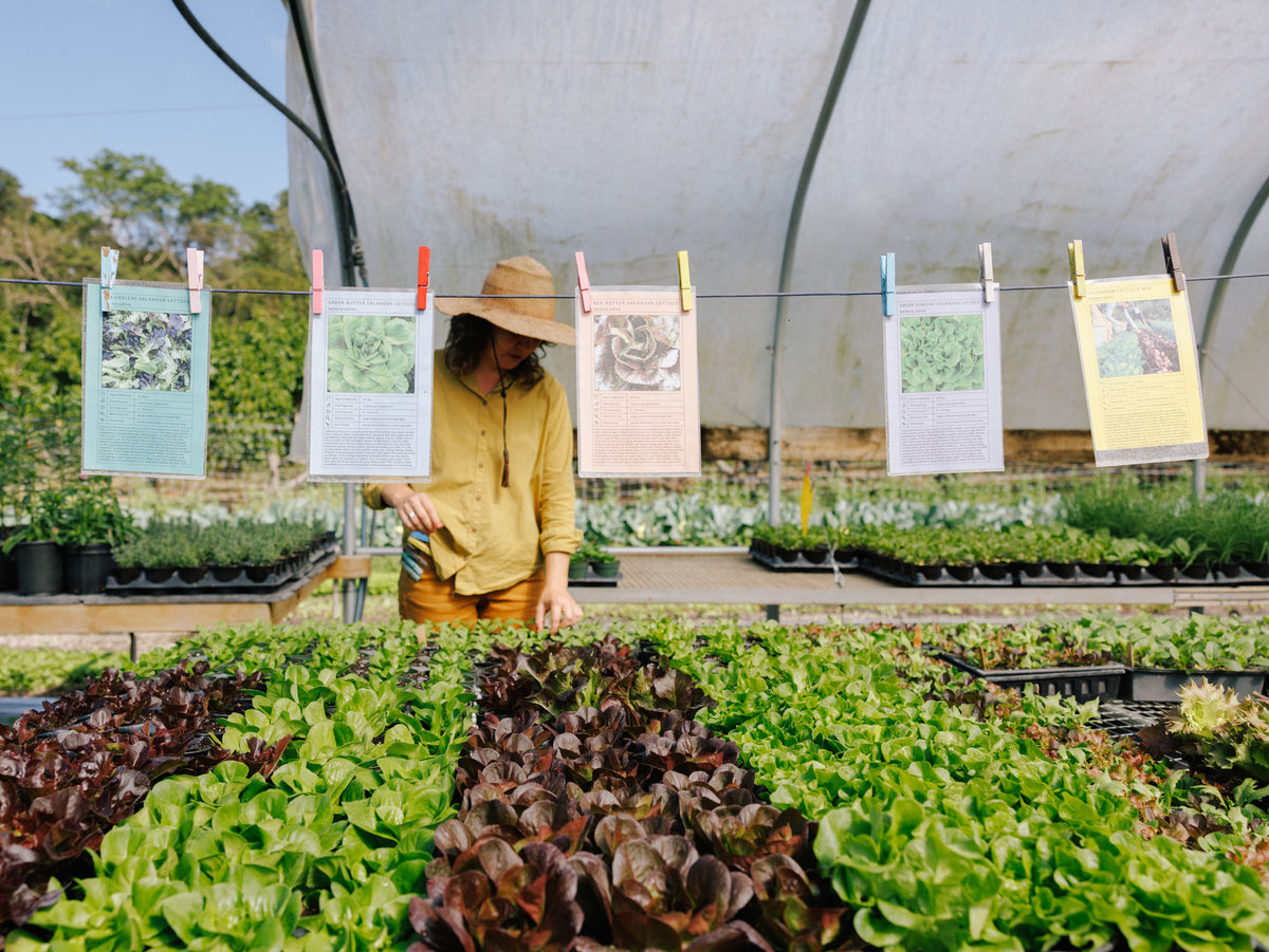 Little River Nursery