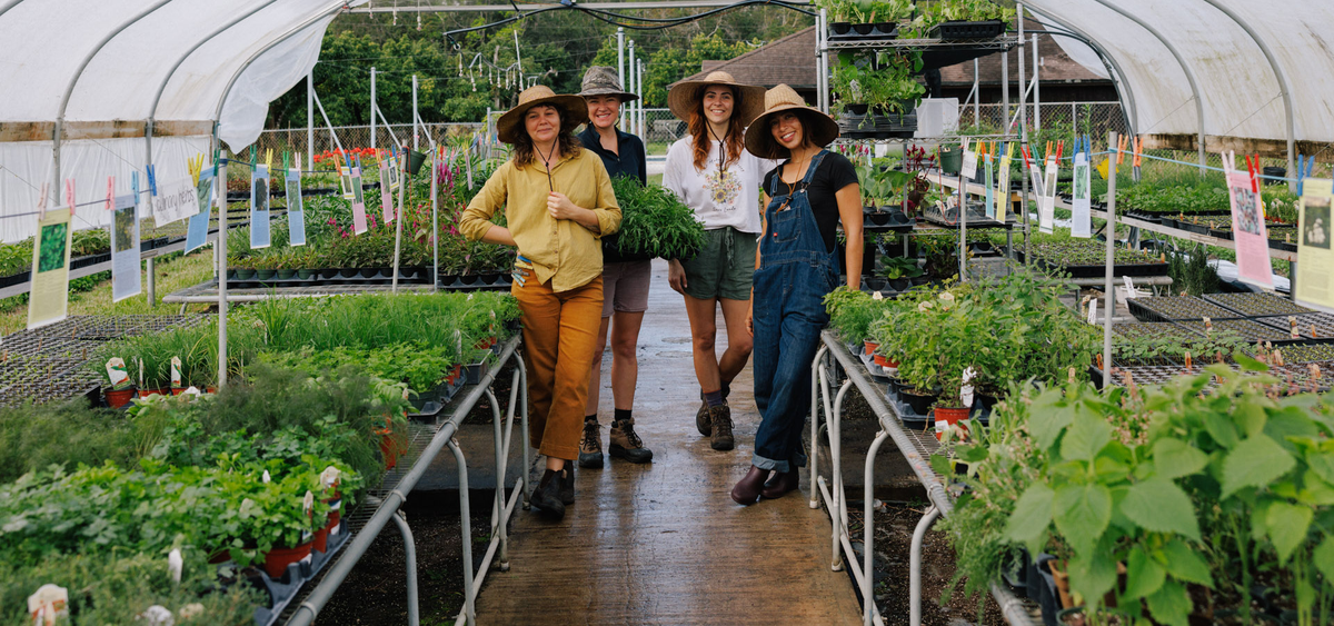 Little River Nursery