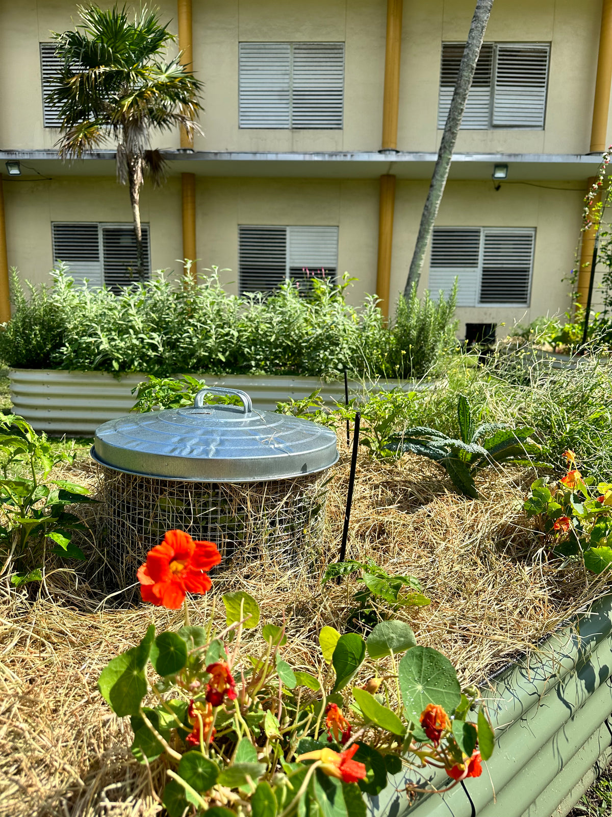 In-Ground Composting