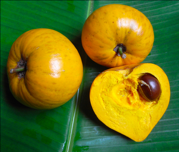 canistel fruit