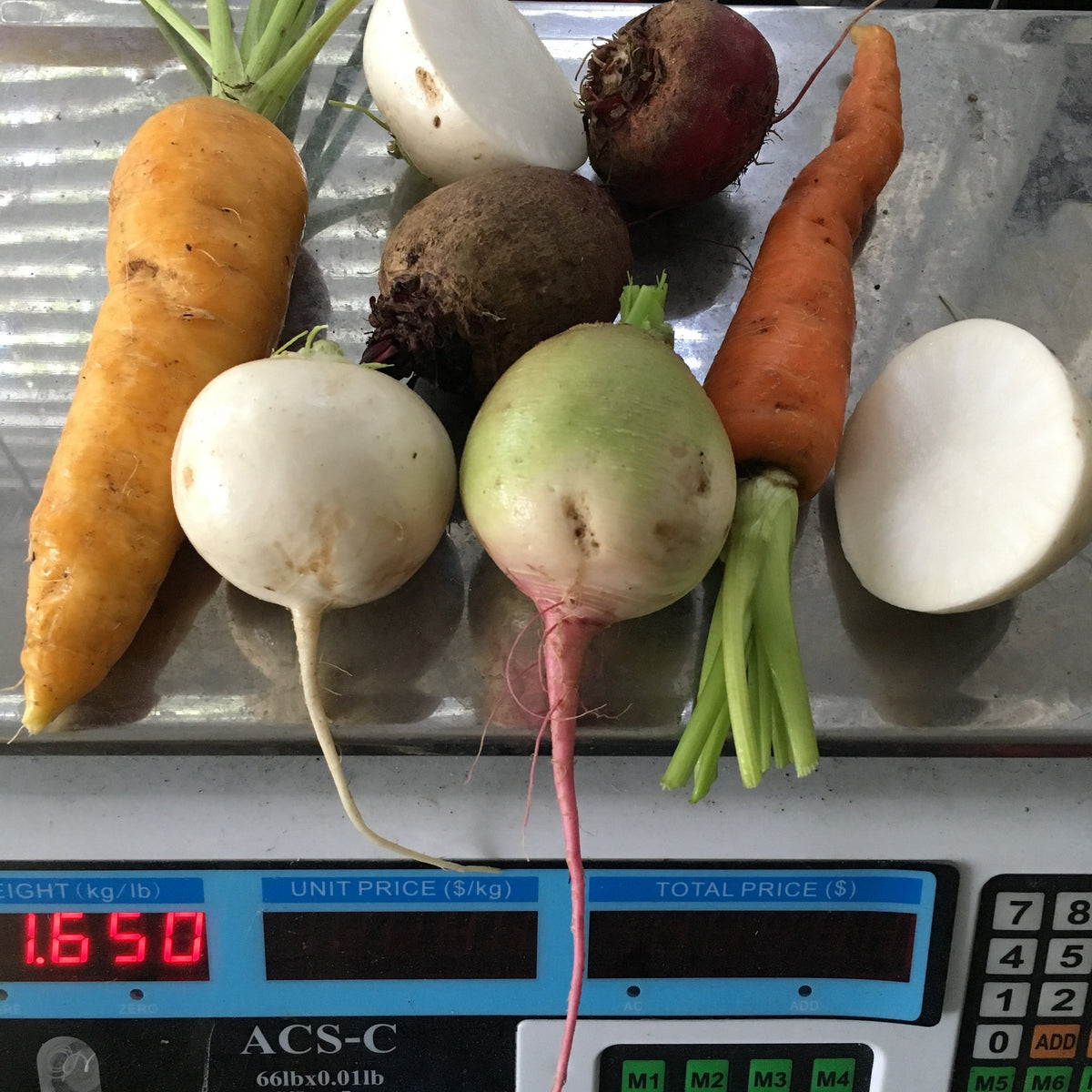 CSA Week 9