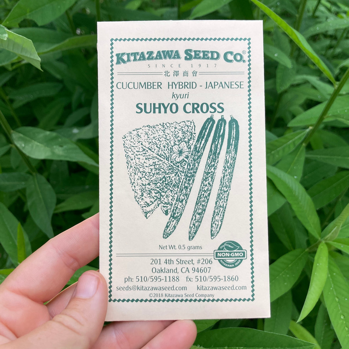 Seed Packets