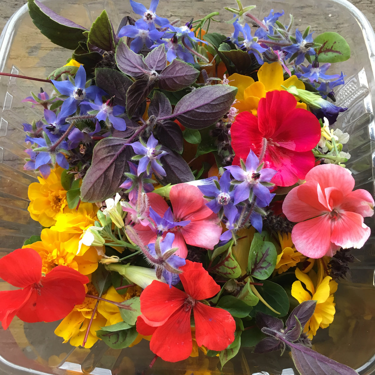 Edible Flowers