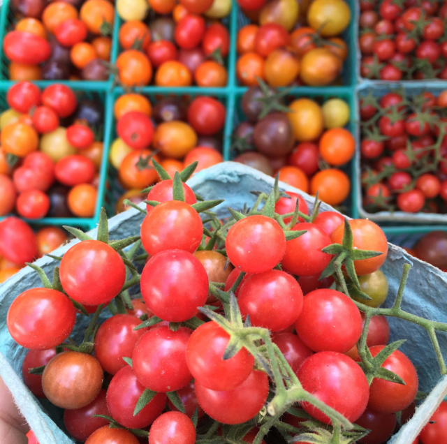 Heat Tolerant Veggies