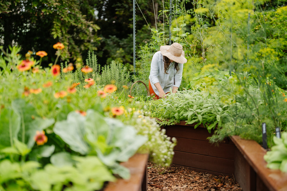 Little River Nursery