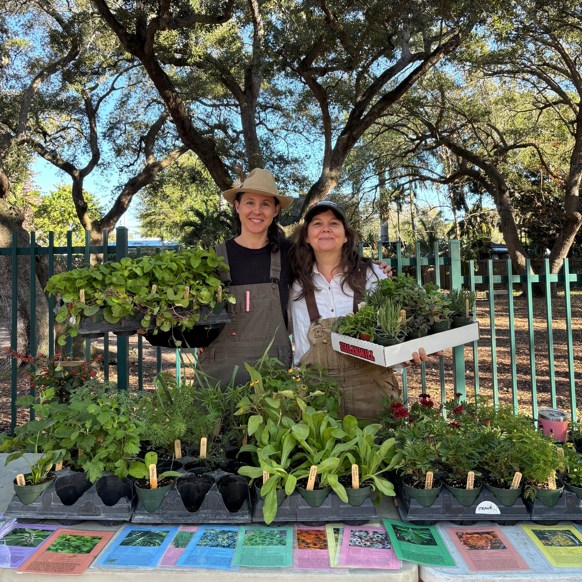 Little River Nursery