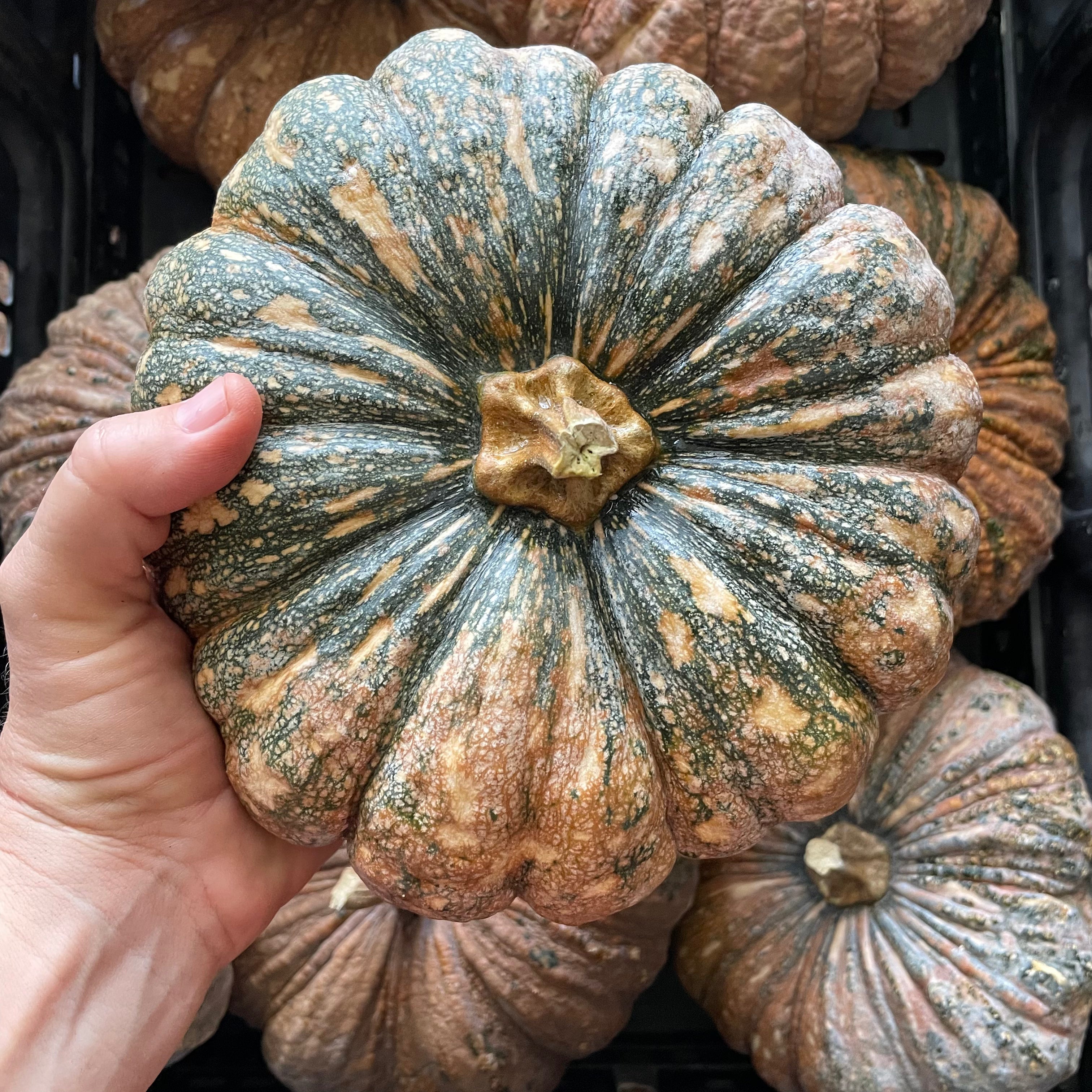 Thai Kang Kob Pumpkin
