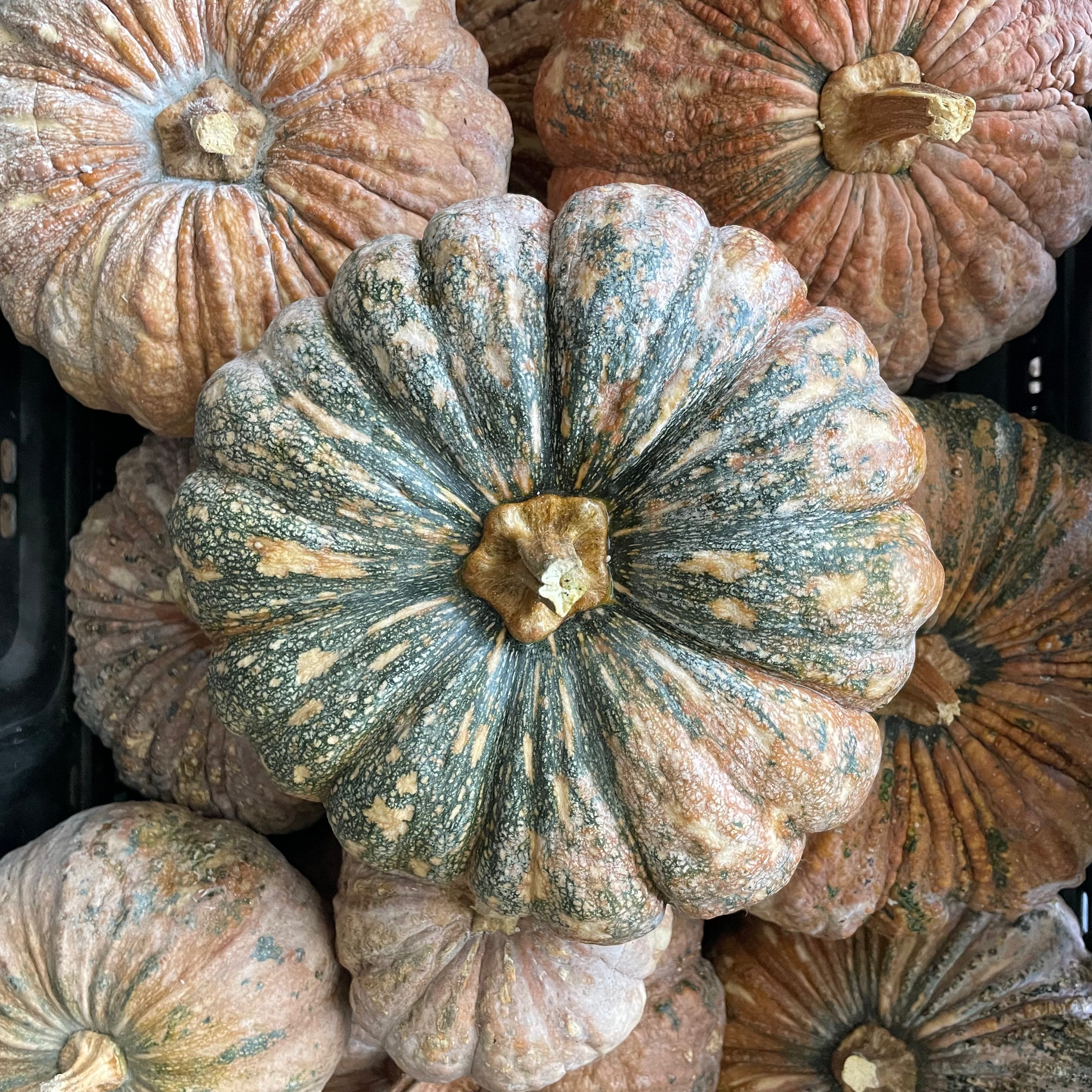 Thai Kang Kob Pumpkin