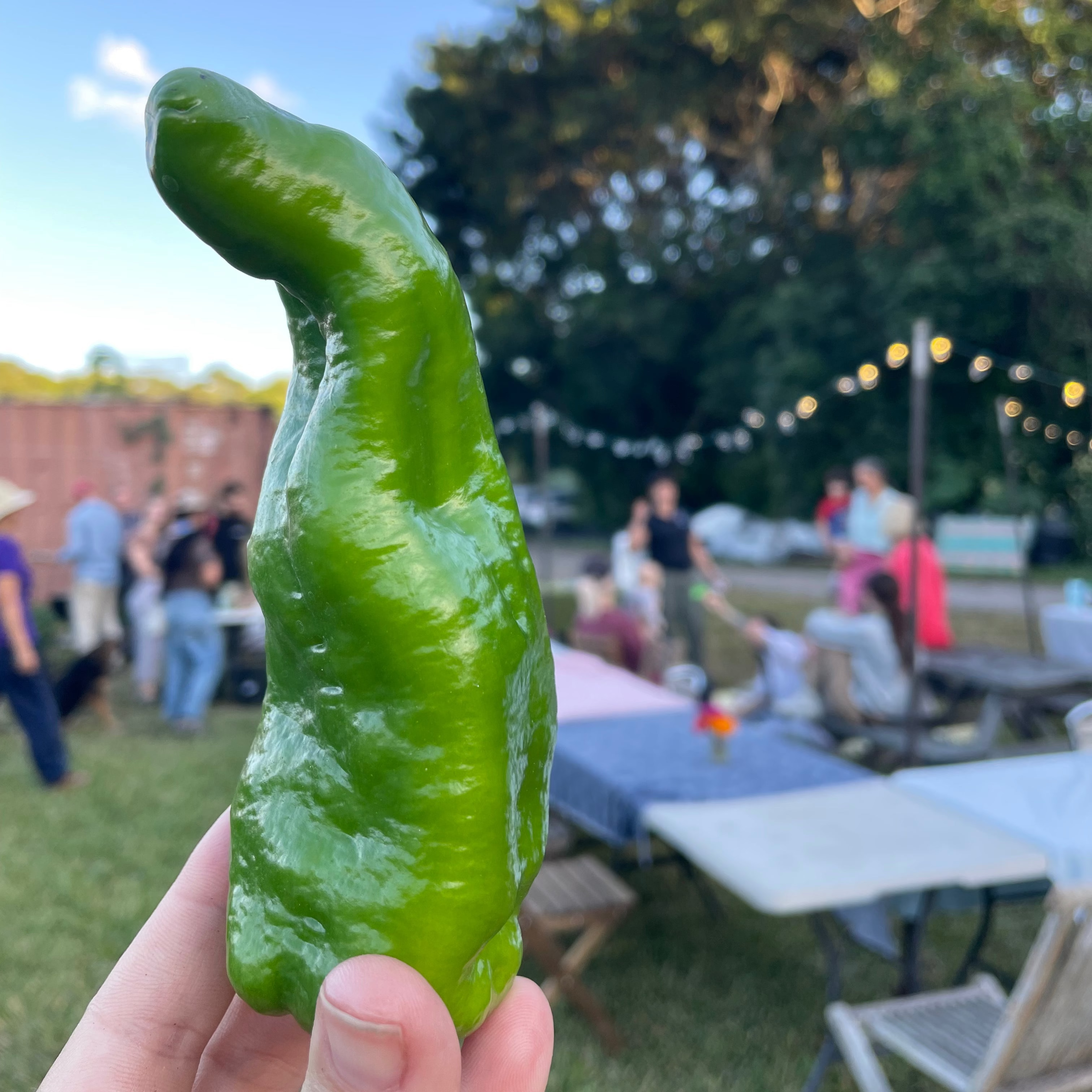 Solar Flare Pepper