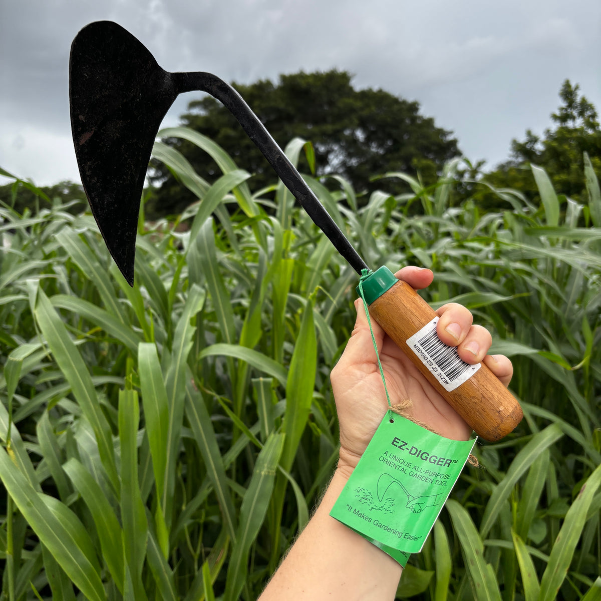 Korean Hand Scythe - Tiffanys favorite hand tool