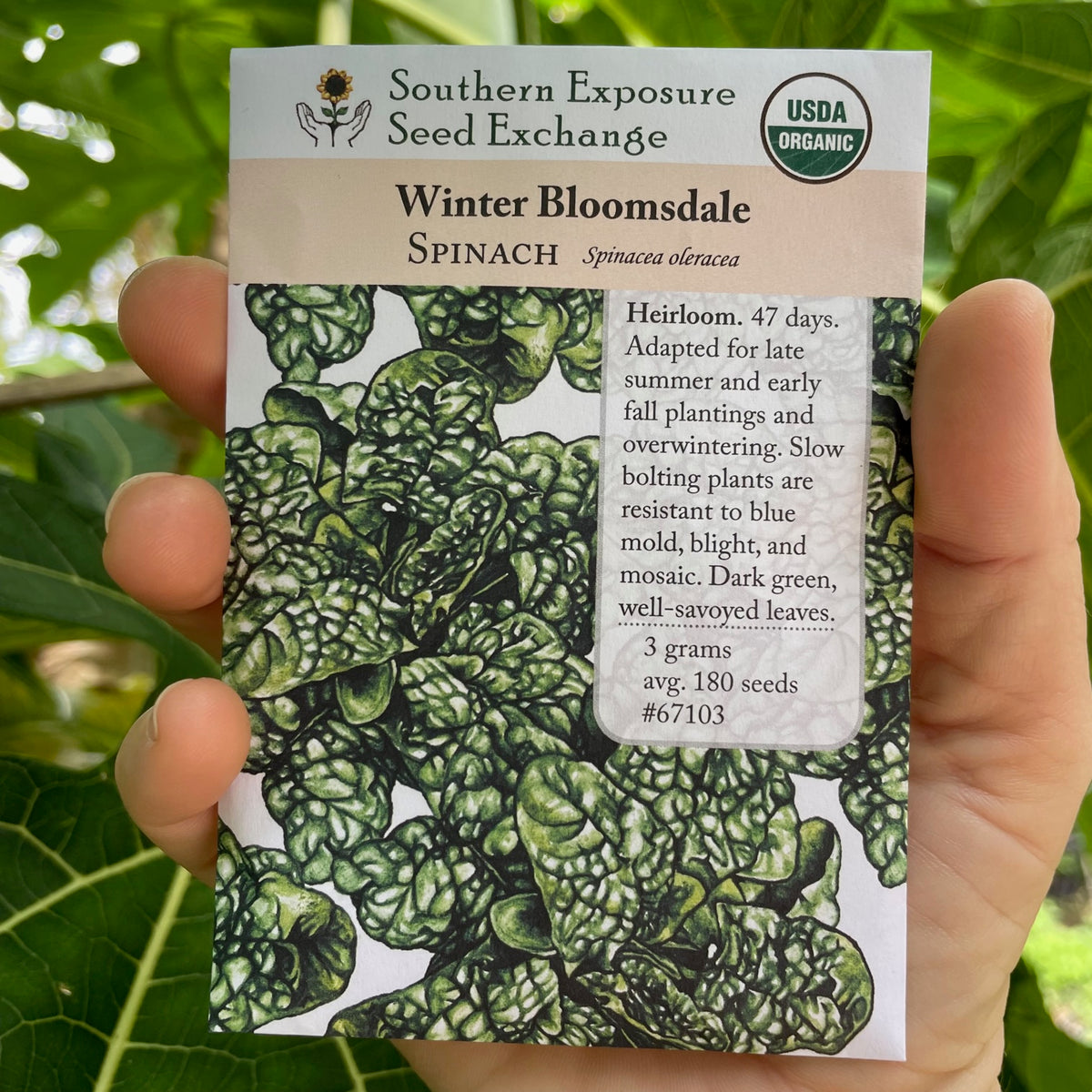 Bloomsdale Spinach Seed Packet