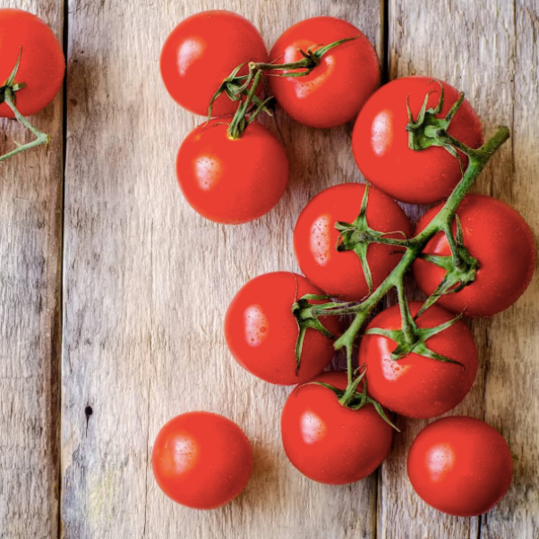 Tropic VFN Tomato Seed packet