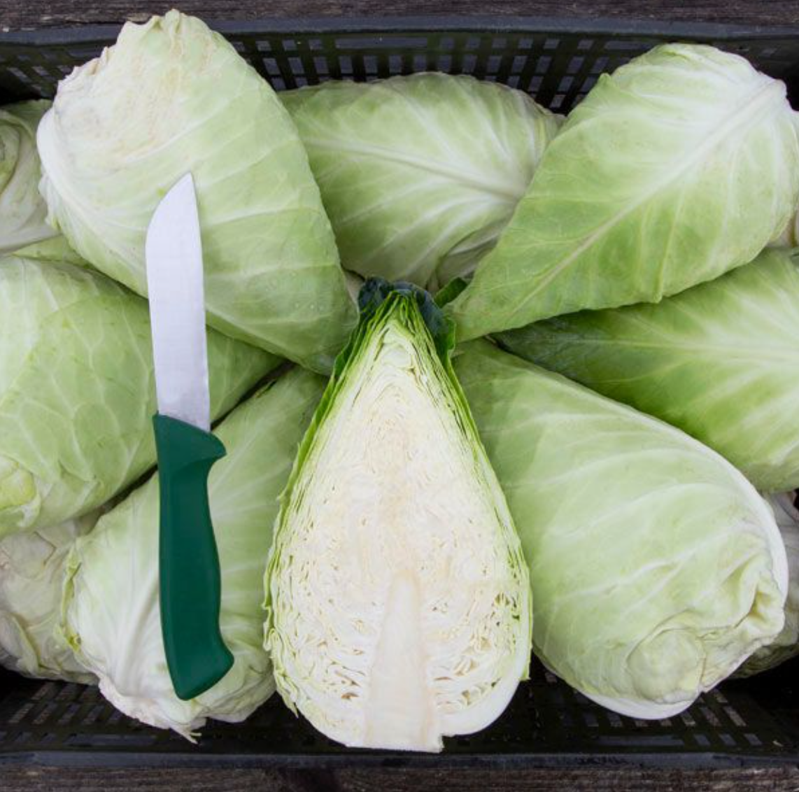 Caraflex Cabbage