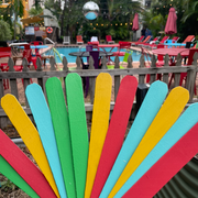12 Wooden Garden Labels 12"