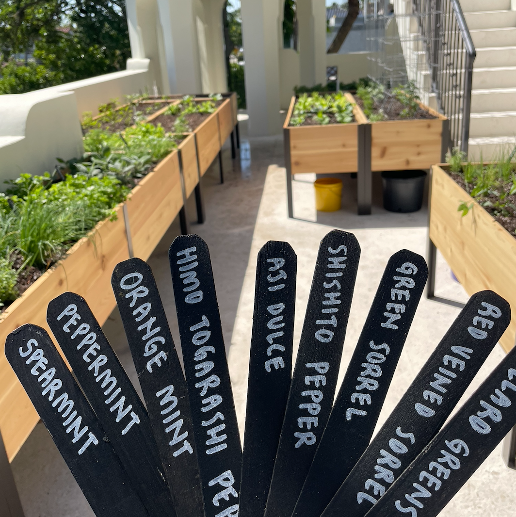 12 Wooden Garden Labels 12" Chalkboard