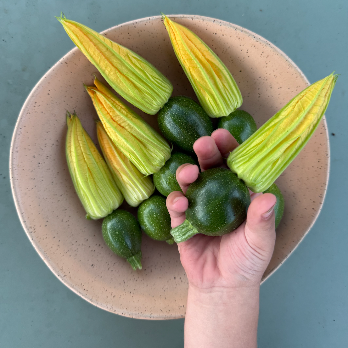 Eight Ball Squash