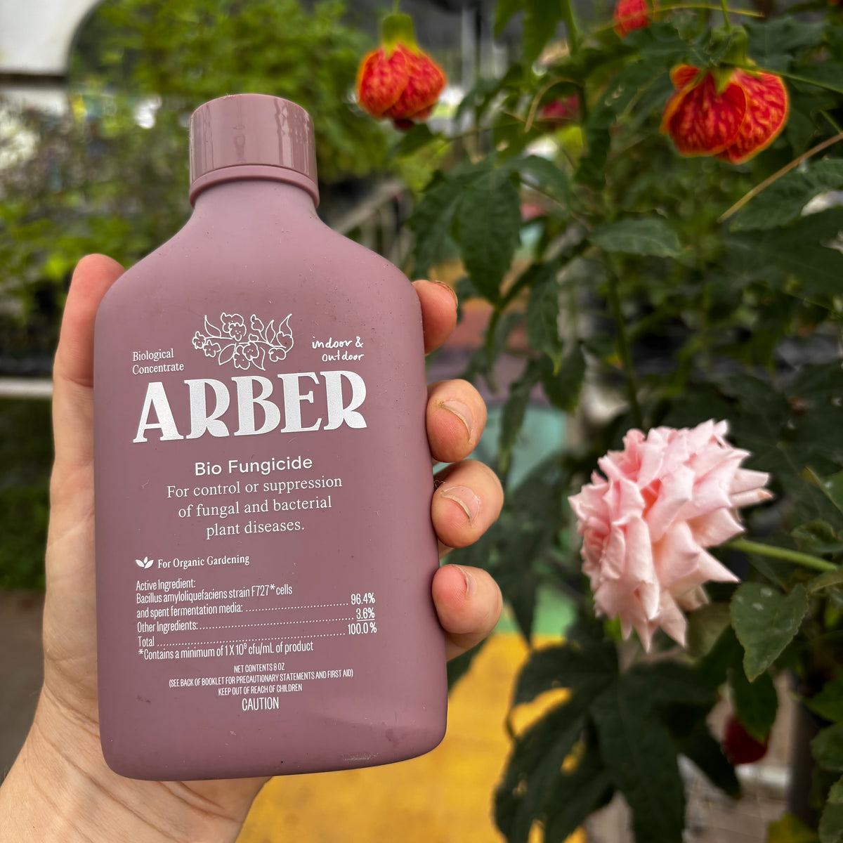 Arber OMRI Organic Fungicide 8 ounce