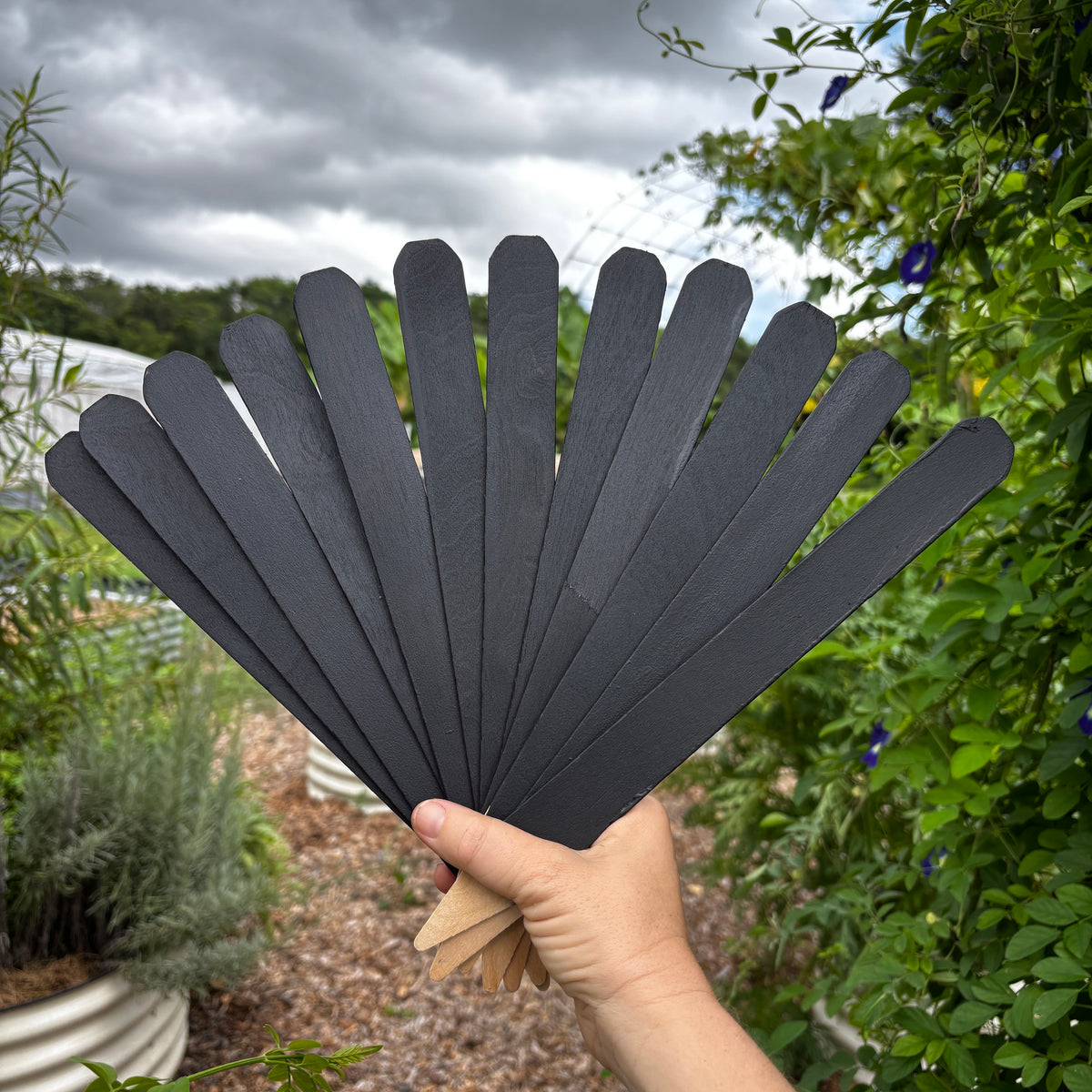 12 Wooden Garden Labels 12" Chalkboard