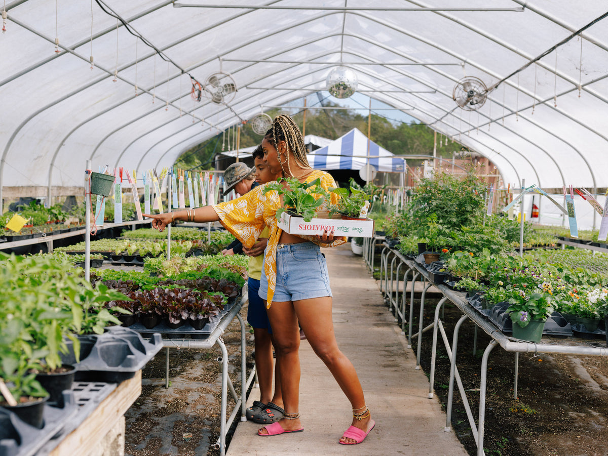 Little River Nursery