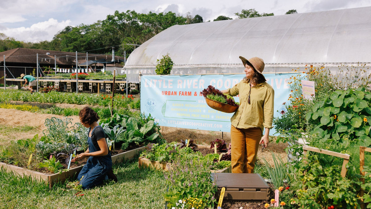 Little River Nursery