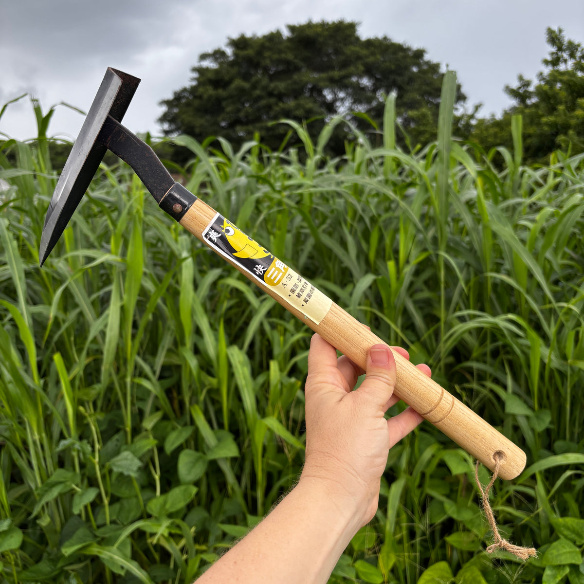 Sankaku Hand Hoe - Muriels Favorite Tool!