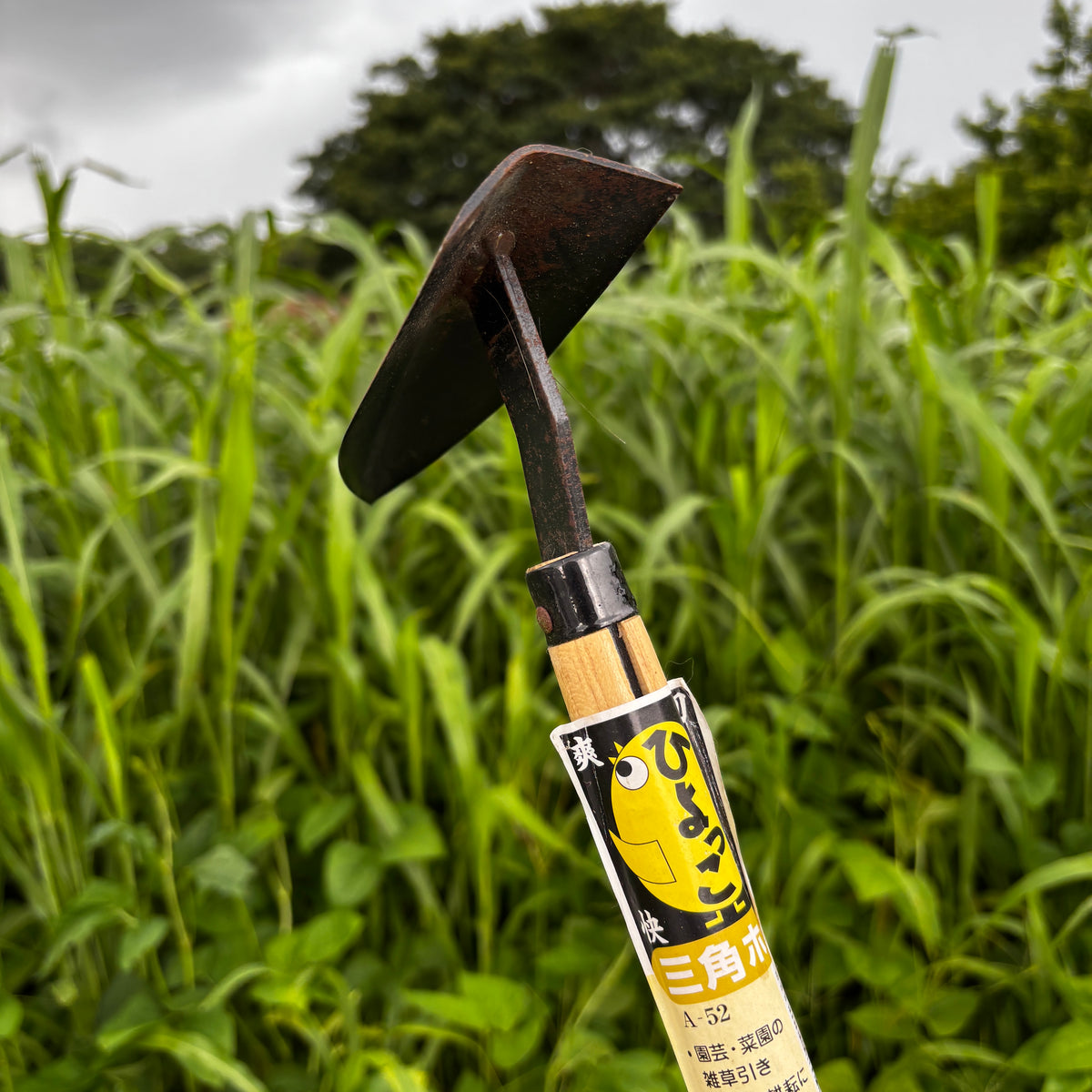 Sankaku Hand Hoe - Muriels Favorite Tool!
