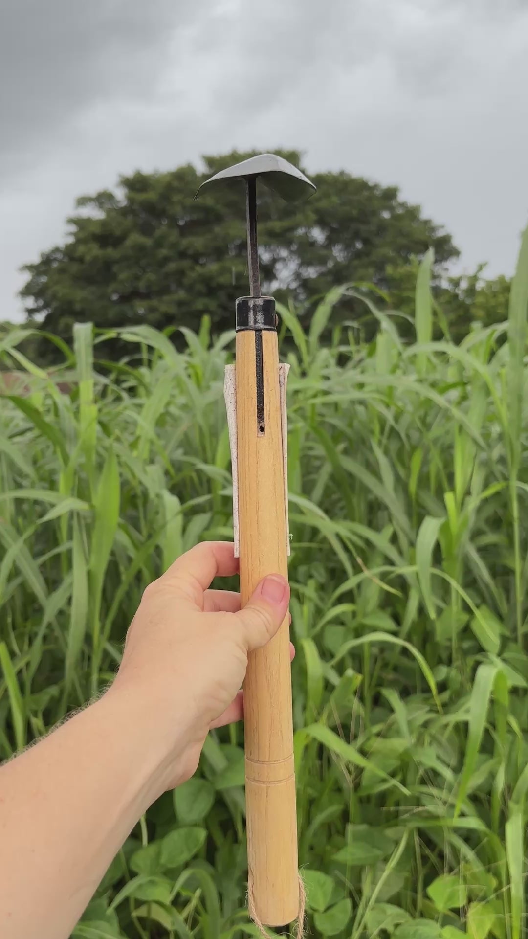 Load video: Sankaku Hand Hoe - Muriels Favorite Tool!