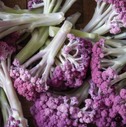 Purple Fioretto Cauliflower