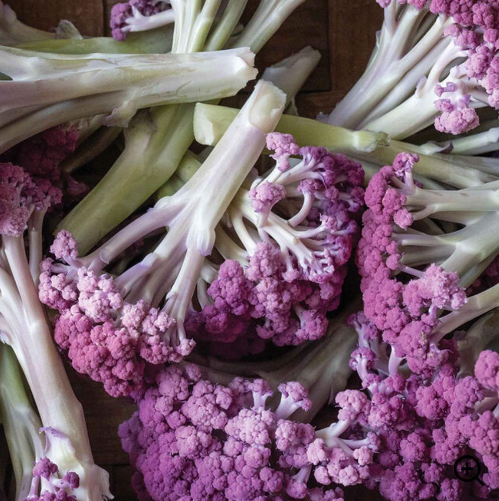 Purple Fioretto Cauliflower
