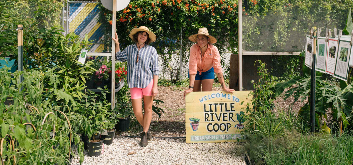 Little River Nursery