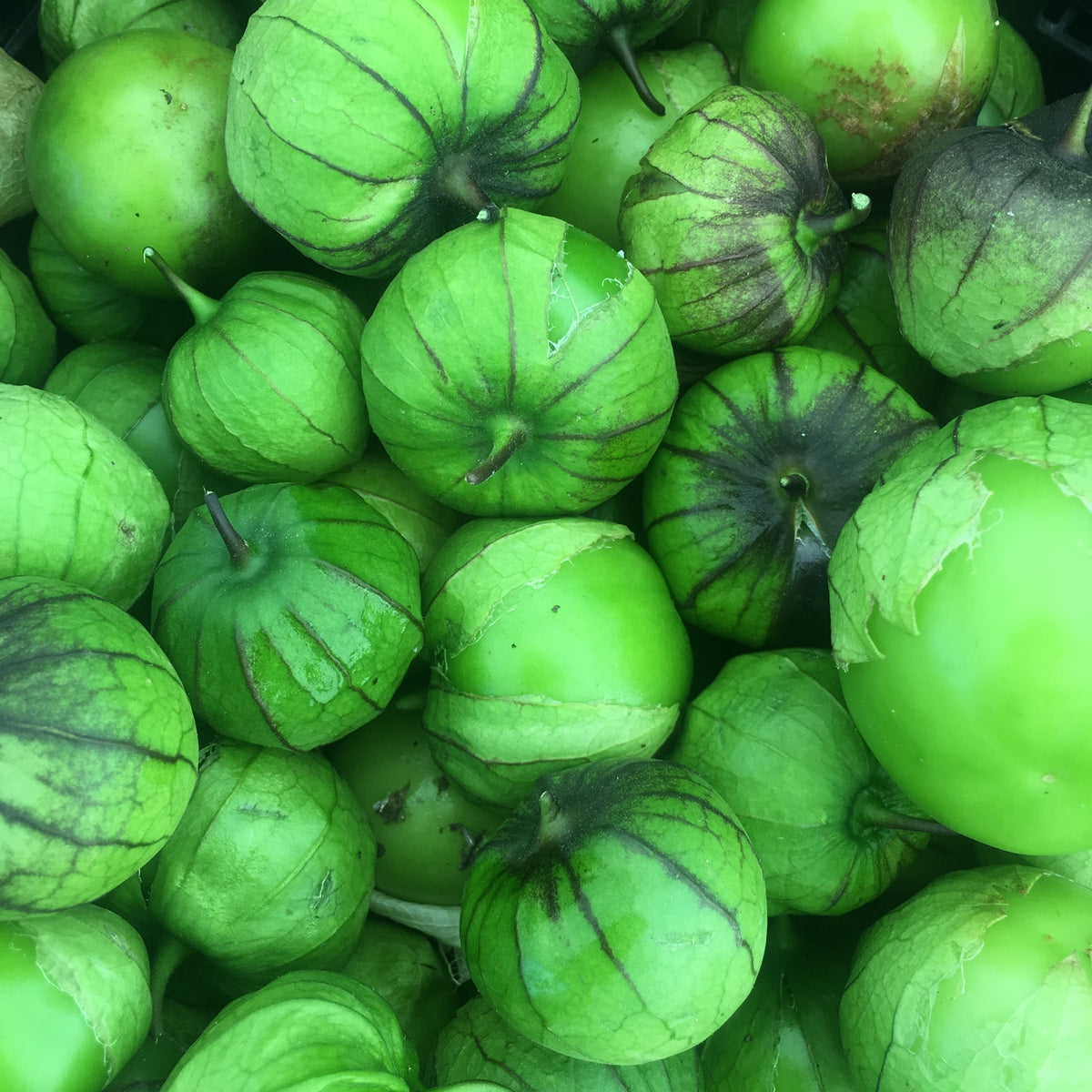 Green Tomatillo