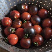 Indigo Cherry Drop Tomato