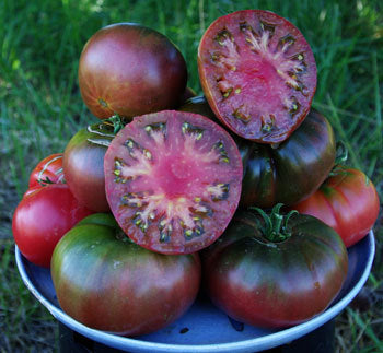 Black Sea Man Salad Tomato