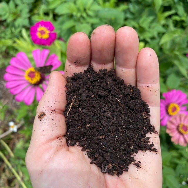 A Zero Waste Culture local compost