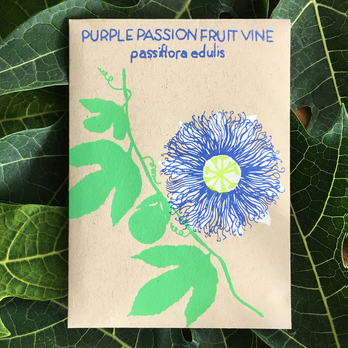 Purple Passionfruit Vine (Passiflora edulis) 20 seeds