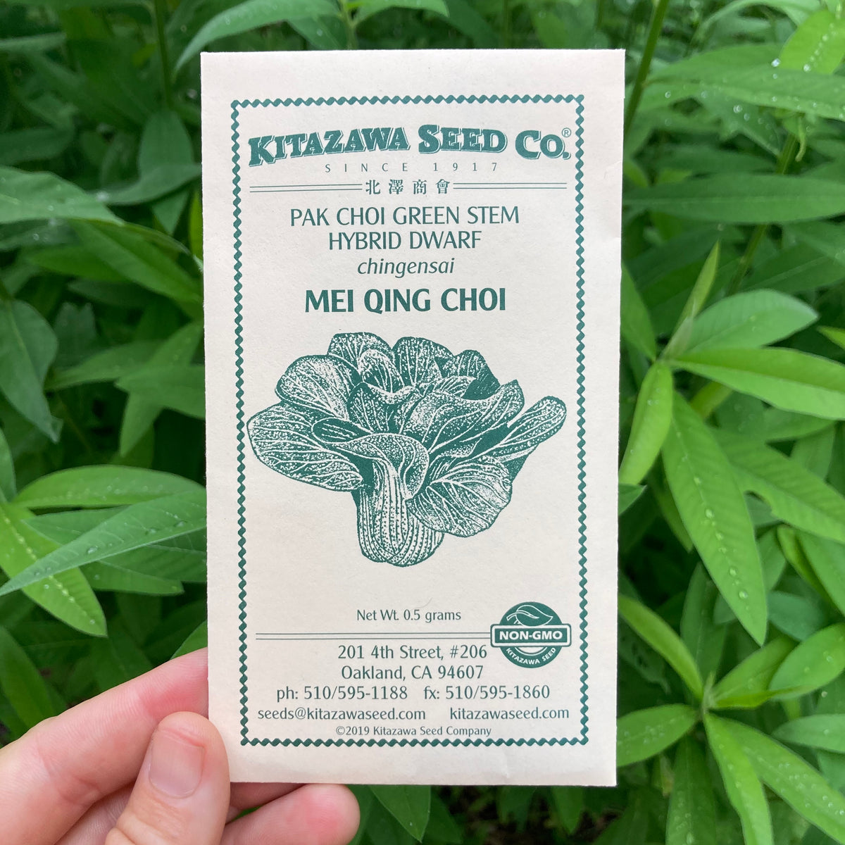 Mei Qing Choi Baby Bok Choi Seed Packet