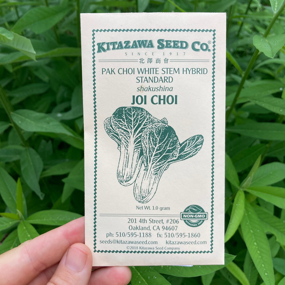 Joi Choi Pak Choi Seed Packet