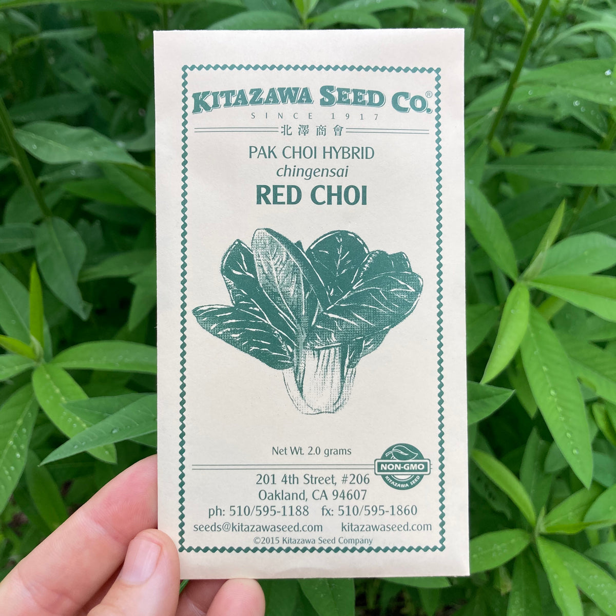 Dwarf Red Choi Seed Packet