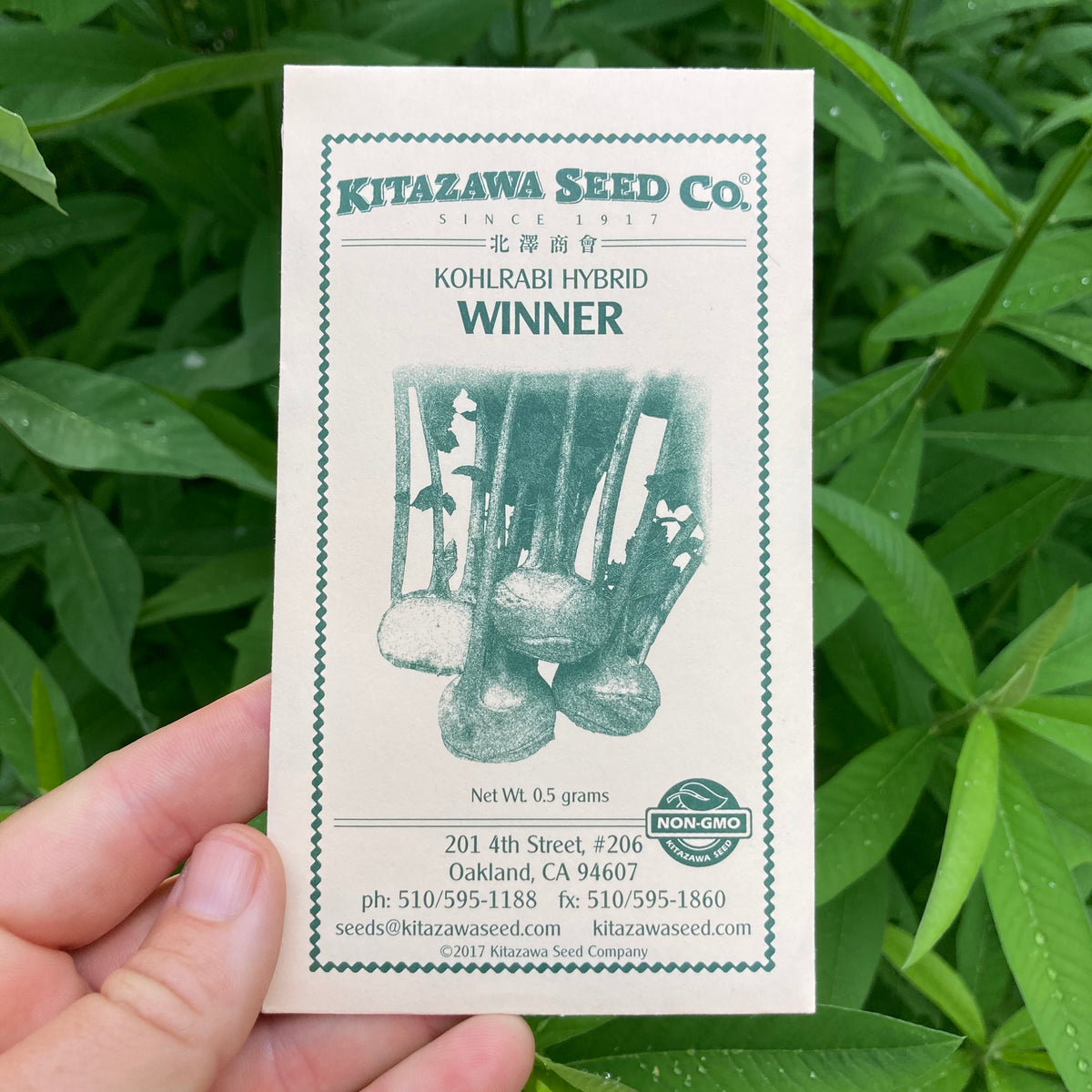 Winner Kohrabi Seed Packet