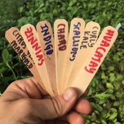 12 Wooden Pot Labels 4"