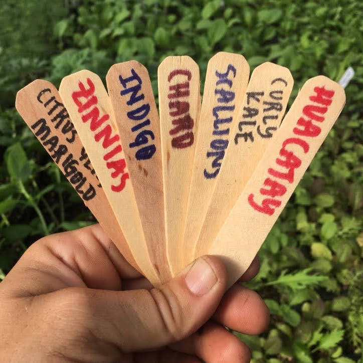 12 Wooden Pot Labels 4"