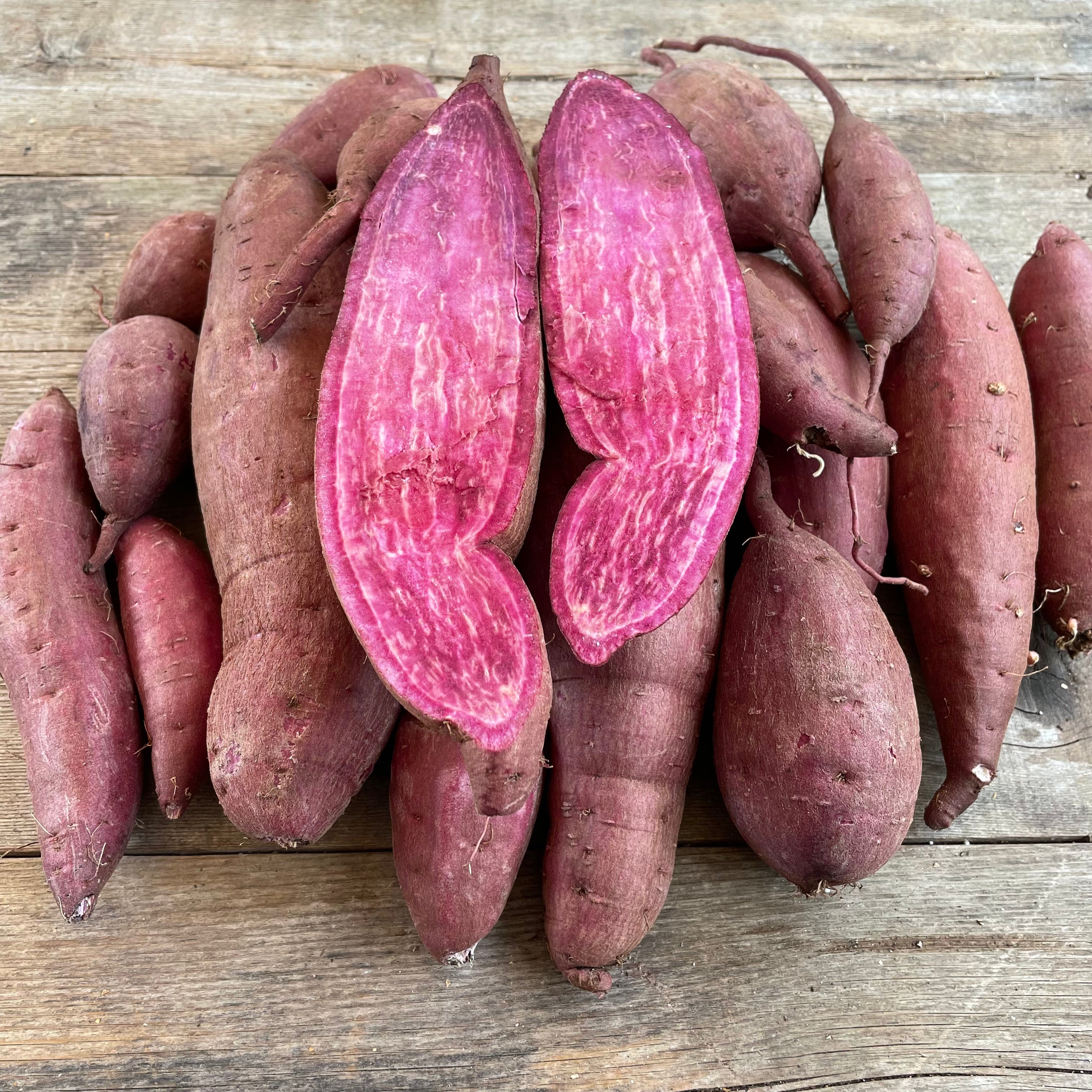 Purple Passion Sweet Potato