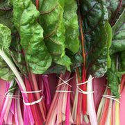 Rainbow Chard