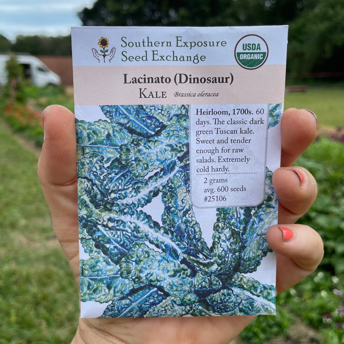 Dinosaur Kale Seed Packet