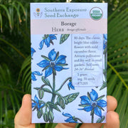 Blue Borage seed packet