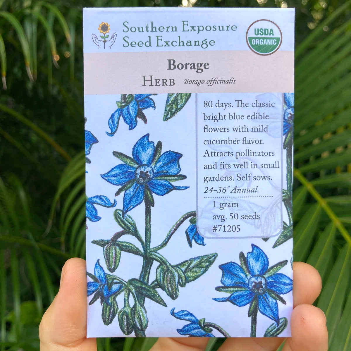 Blue Borage seed packet