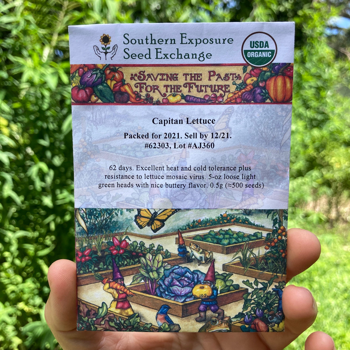 Capitan Butterhead Lettuce Seed Packet