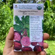 Chioggia Beet Seed Packet